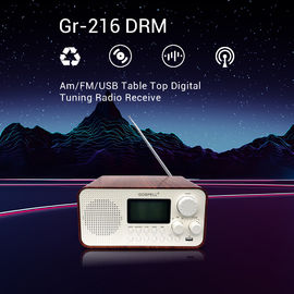 CHINA Whip Antenna Am-de Desktop Radiospeler van FMusb 4W DRM leverancier